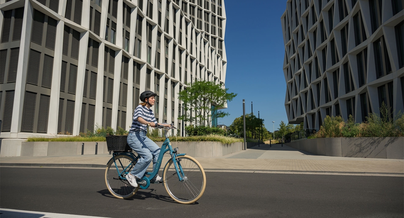 Cube_2024_15_02882 Cube_2024_15_02882